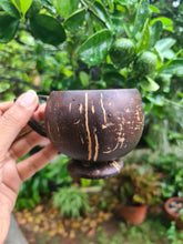 Coconut Teacup - Set of 2